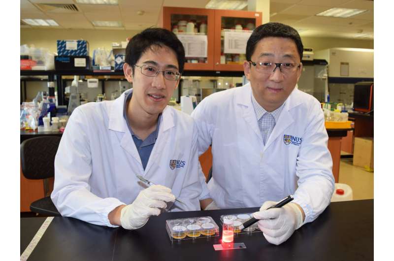 NUS researchers develop wireless light switch for targeted cancer therapy