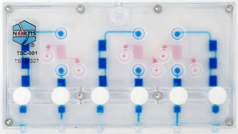 Organs-on-chips: Tiny technology helping bring safe new drugs to patients faster