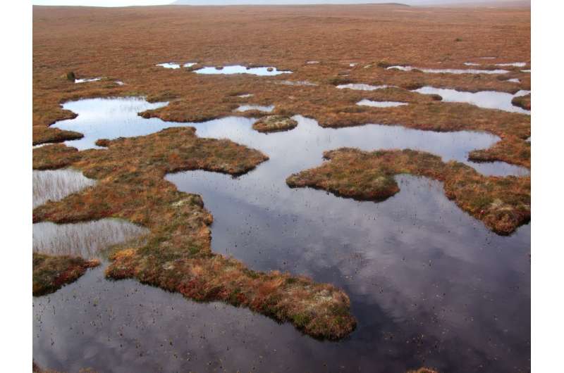 Peatland contributions to UK water security