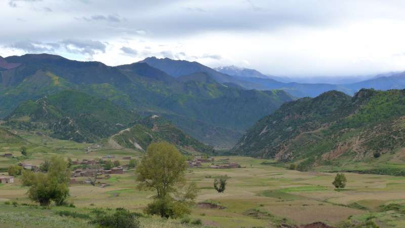 Plant fossils provide new insight into the uplift history of SE Tibet