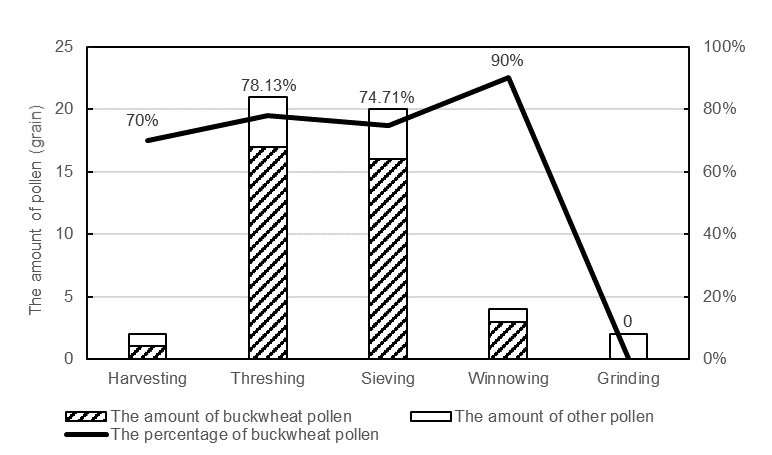 Pollen dispersal in traditional processing of buckwheat