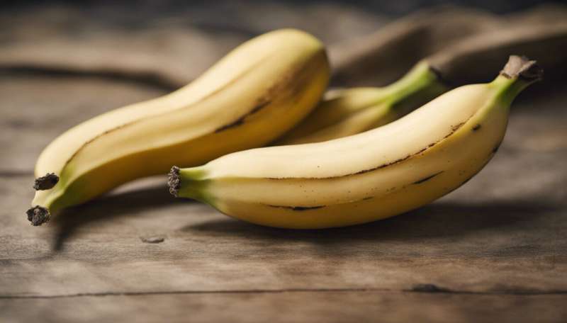 Prehistoric people started to spread domesticated bananas across the world 6,000 years ago