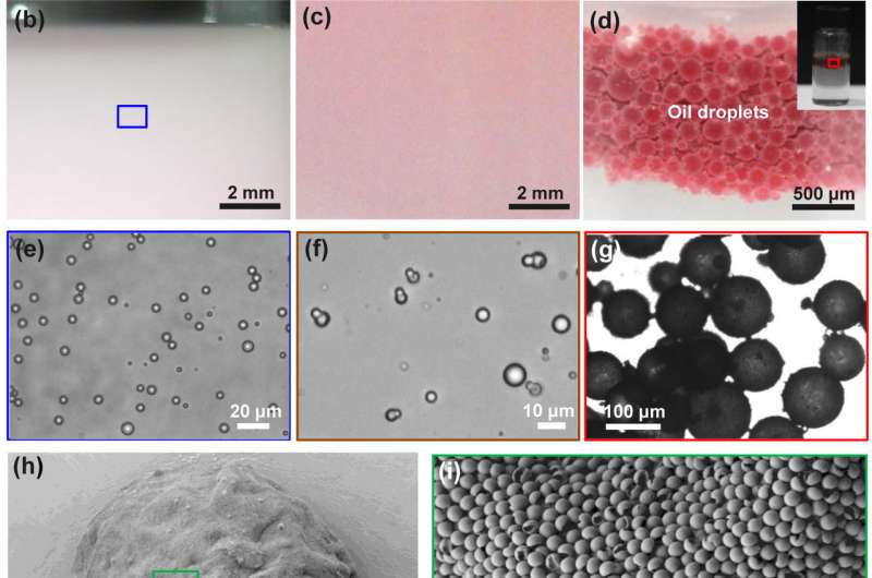Rapid and efficient oil-water separation achieved by newly-developed particles