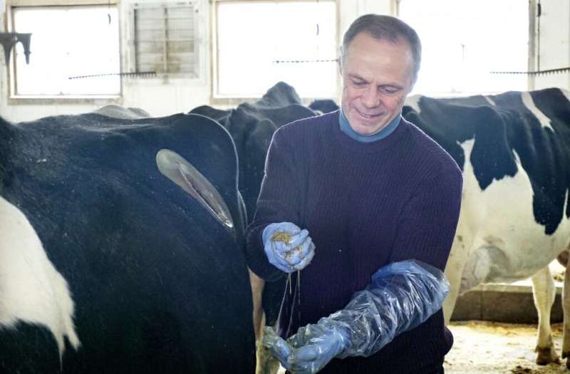 Researcher follows dairy cows’ carbon footprints from barn to field