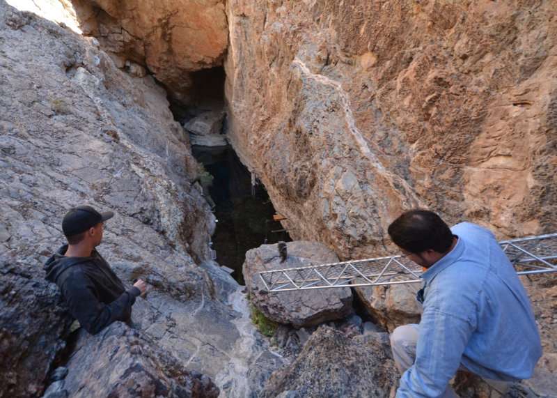 Research improves prospects for imperiled Devils Hole Pupfish in captivity