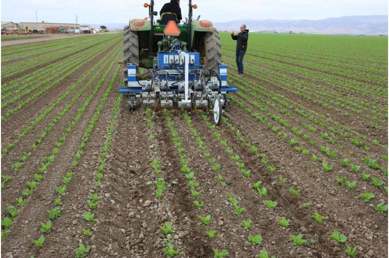 Robotic weeders: to a farm near you?