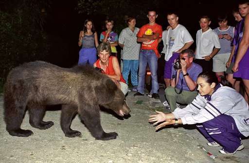 Scientists, animal activists: Don't cull Romanian brown bear