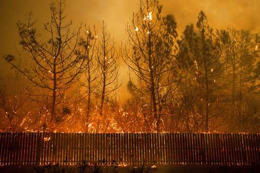 Scientists: Wind, drought worsen fires, not bad management