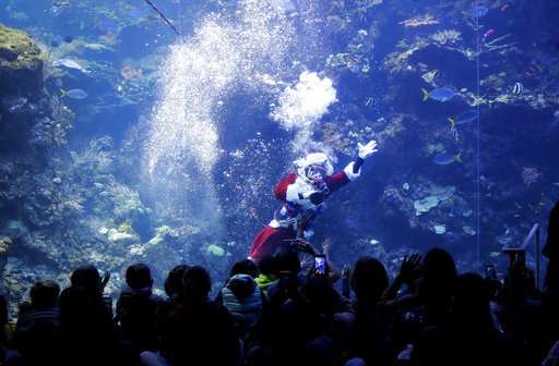 Scuba-diving Santa brings holiday cheer to fish, museumgoers