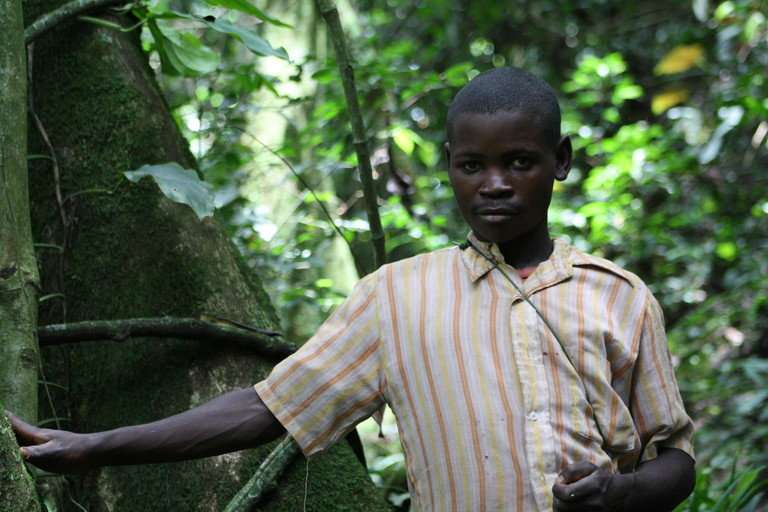 Short stature in rainforest hunter-gatherers may be linked to cardiac adaptation