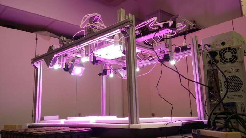 Skoltech scientists use computer vision and machine learning to predict plant growth