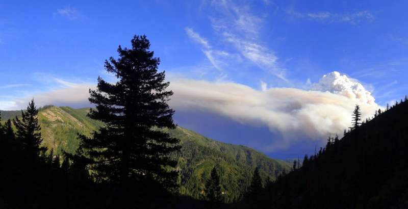 Smoke from wildfires has cooling effect on water temperatures