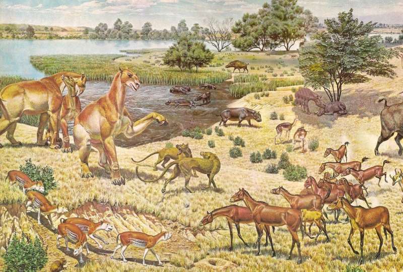 Study: Prehistoric horses were homebodies