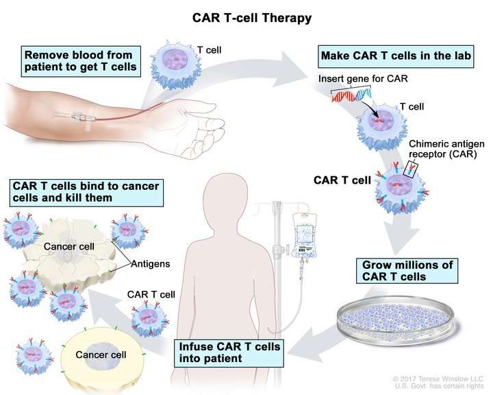 Synthetic biology approaches to improving immunotherapy