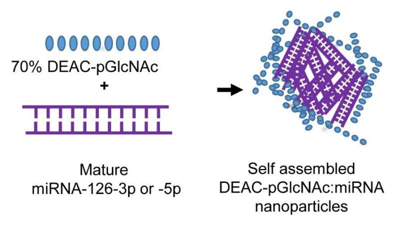 Targeting sepsis, the leading cause of ICU deaths, with a nanocarrier-delivered microRNA