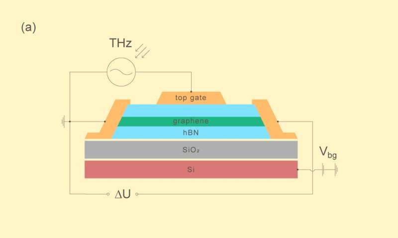 The dispute about the origins of terahertz photoresponse in graphene results in a draw