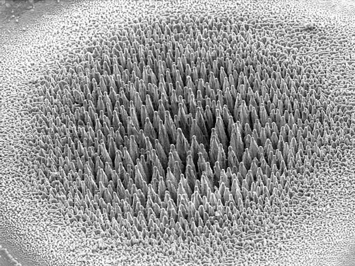 The fingerprints of harmful molecules could be detected noninvasively via black silicon.