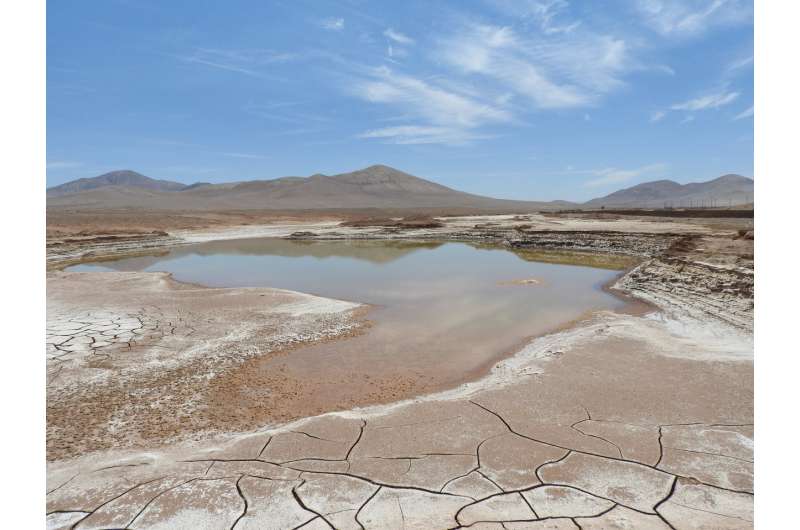 The first rains in centuries in the Atacama Desert devastate its microbial life