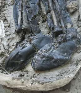 The medieval mystery of the booted man in the mud
