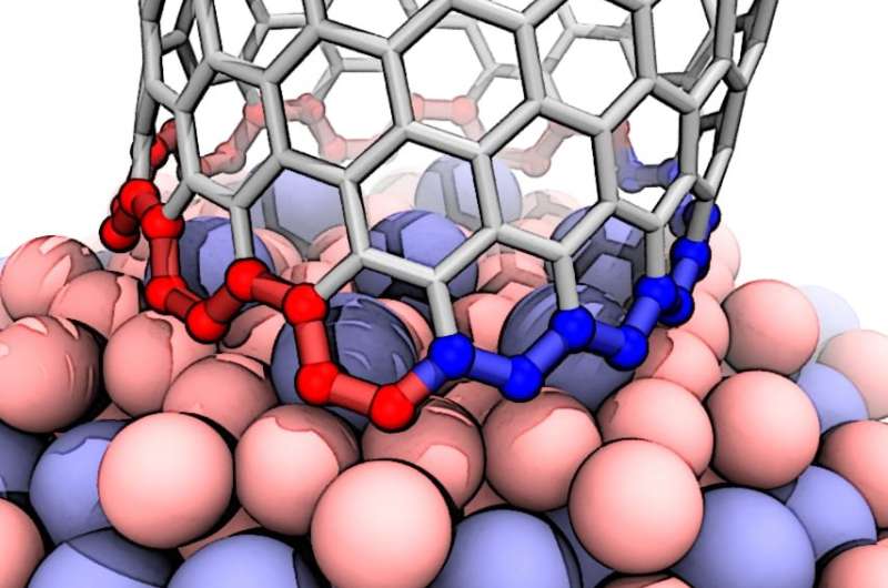 Theorists find mechanism behind nearly pure nanotubes from the unusual catalyst