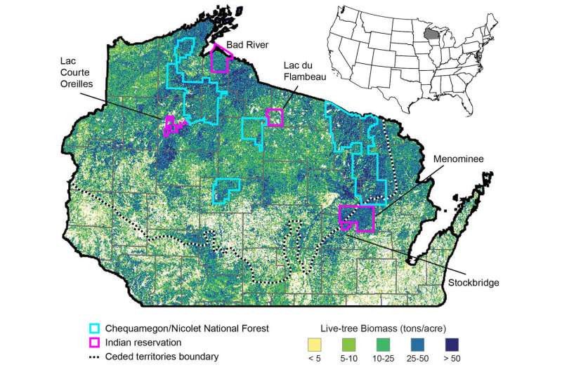 Tribal forests in Wisconsin are more diverse, sustainable