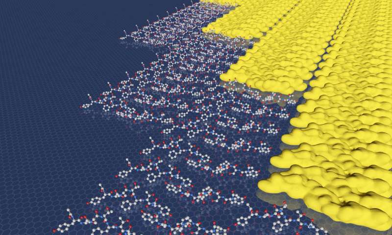 **Two-dimensional materials skip the energy barrier by growing one row at a time