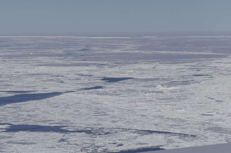 Two rectangular icebergs spotted on NASA IceBridge flight