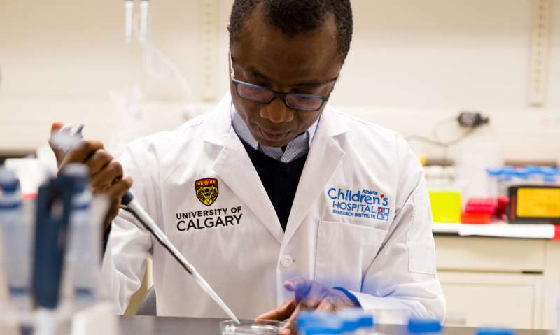 UCalgary researchers develop a new method to discover drugs to treat epilepsy
