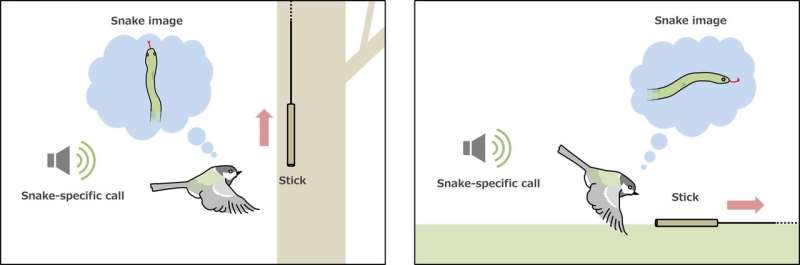 Visualizing danger from songbird warning calls