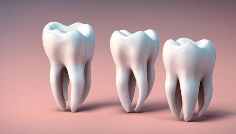 What are wisdom teeth, and should you have them removed?