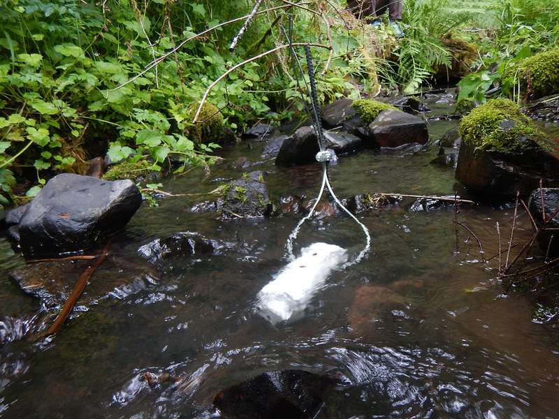 When it comes to keeping streams cool, buffer strips help but geology rules