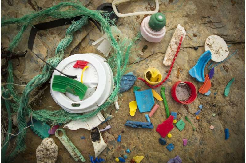 Who is to blame for marine litter?