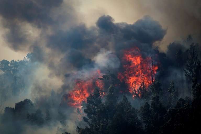 Wildfires have caused devastation in parts of Portugal