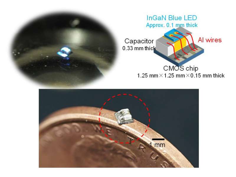 World's smallest optical implantable biodevice