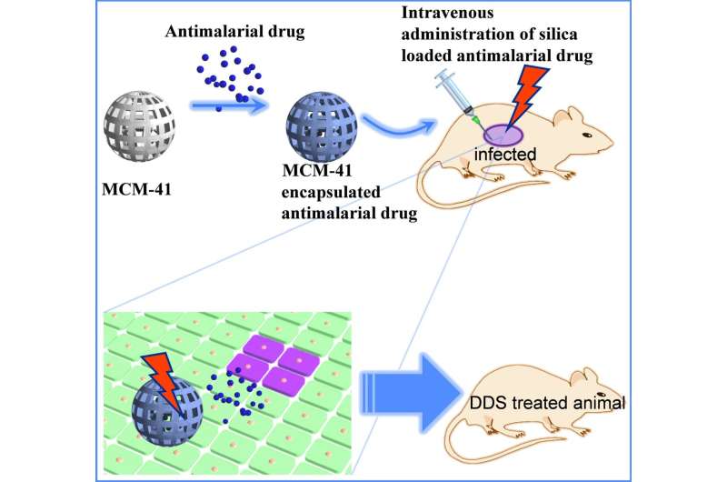 Breakthrough antimalarial drug delivery system using mesoporous silica nanoparticles