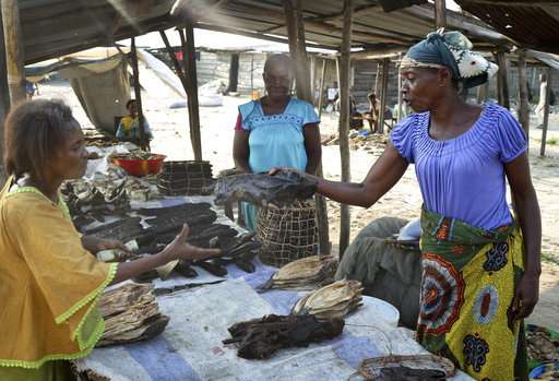 Congo's Ebola outbreak poses challenges for bush meat