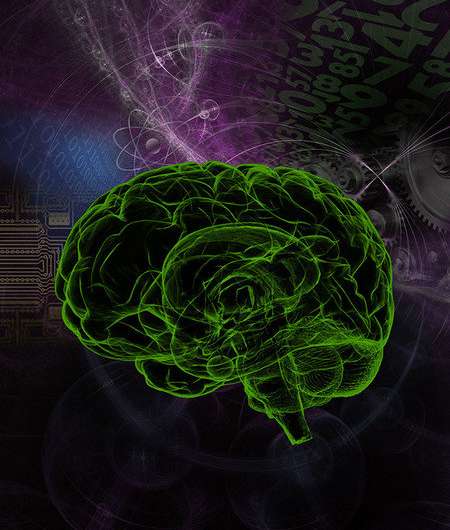 Scientists can predict intelligence from brain scans