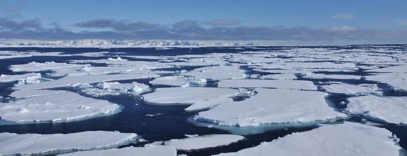 Scientists show polar 'polynya' supported marine life during last Ice Age