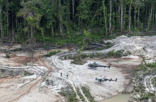 Scientists warn new Brazil president may smother rainforest