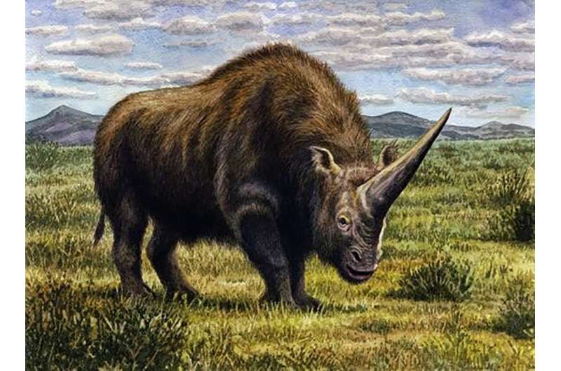 Climate change wiped out the 'Siberian unicorn'