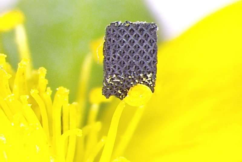 Researchers develop novel process to 3-D print one of the strongest materials on earth