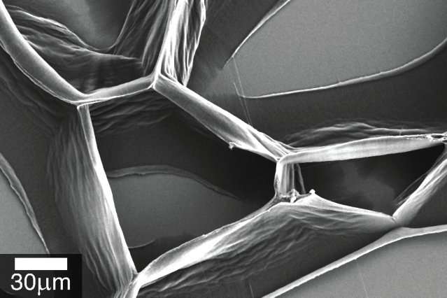Researchers create predictable patterns from unpredictable carbon nanotubes