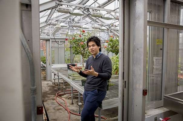Researchers develop "bionic leaf" for distributed agriculture