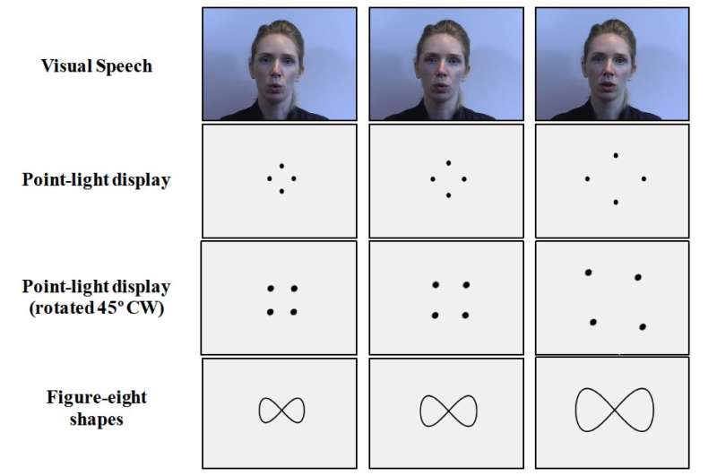 Study reveals vision's role in vowel perception
