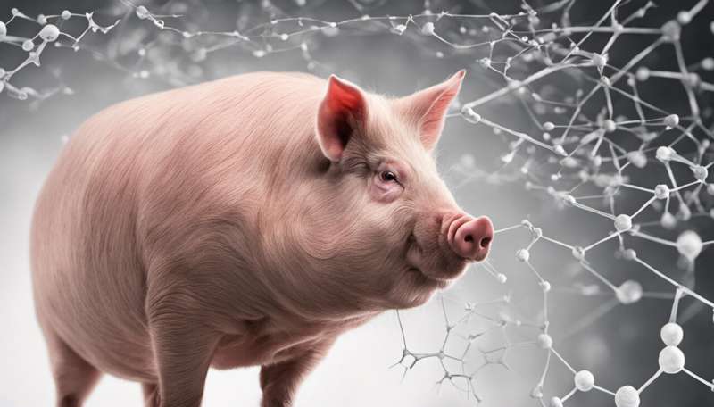 Scientists reanimate disembodied pigs' brains – but for a human mind, it could be a living hell