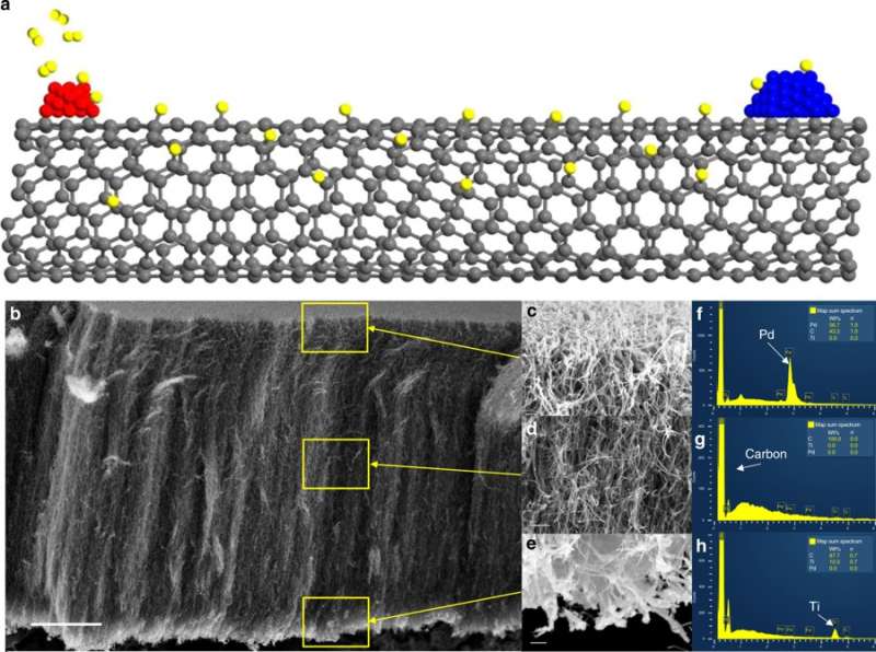 Researchers determine catalytic active sites using carbon nanotubes
