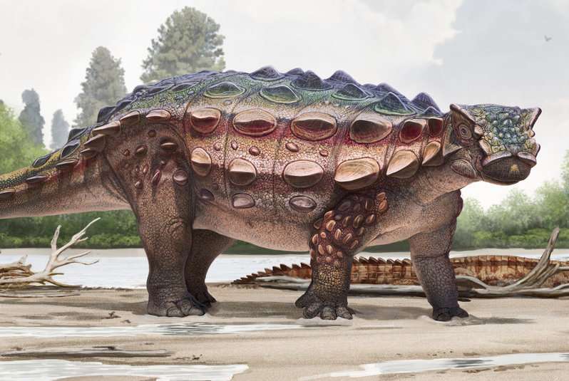 Newly discovered armored dinosaur from Utah reveals intriguing family history