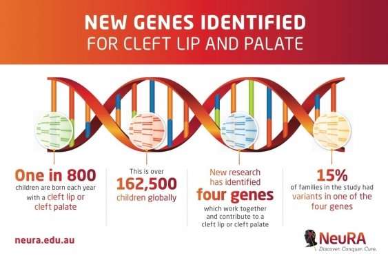 Breakthrough in cleft lip and palate research