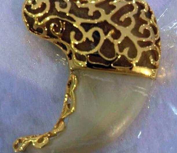 A handout photo showing a piece of jewelry made from a jaguar claw