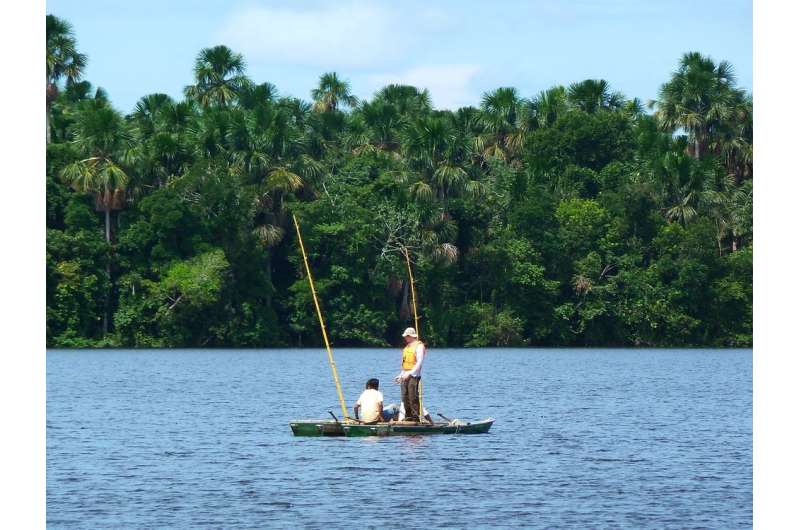 Ancient Amazonians lived sustainably – and this matters for conservation today